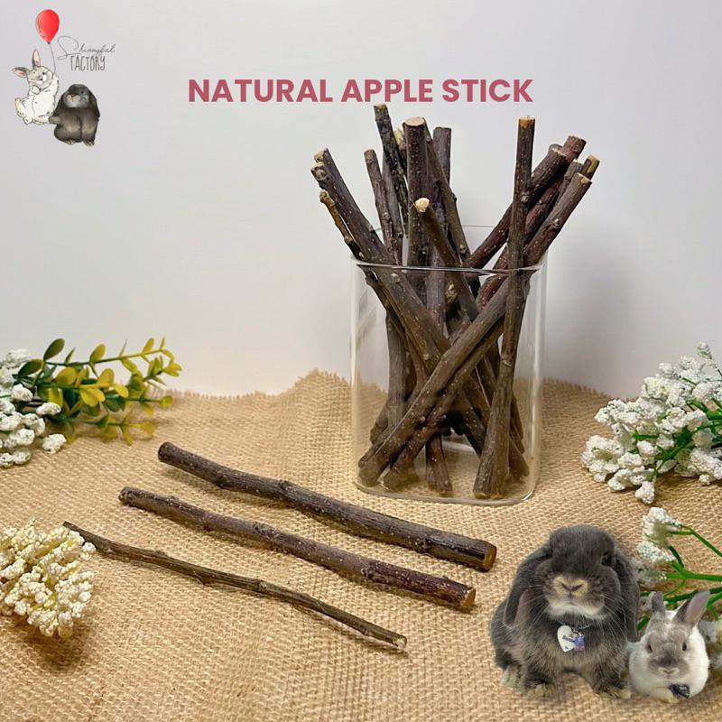 Natural Orchard Apple Chew Stick - Pengasah Natural Gigi Kelinci Hamster Marmut Guinea Pig Chincilla 0