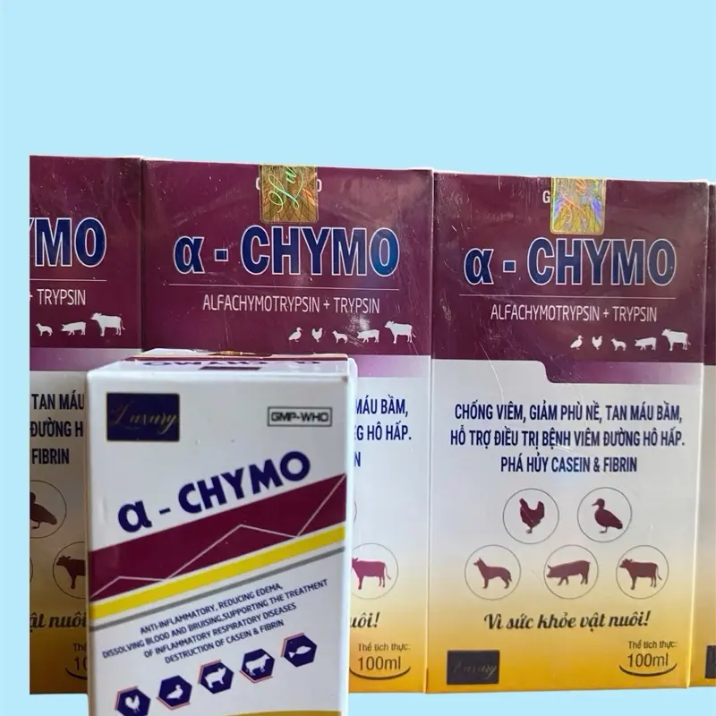@ CHYMO- Điều trị viêm, giãm đau và phù nề, hỗ trợ đường hô hấp cho vật nuôi 3