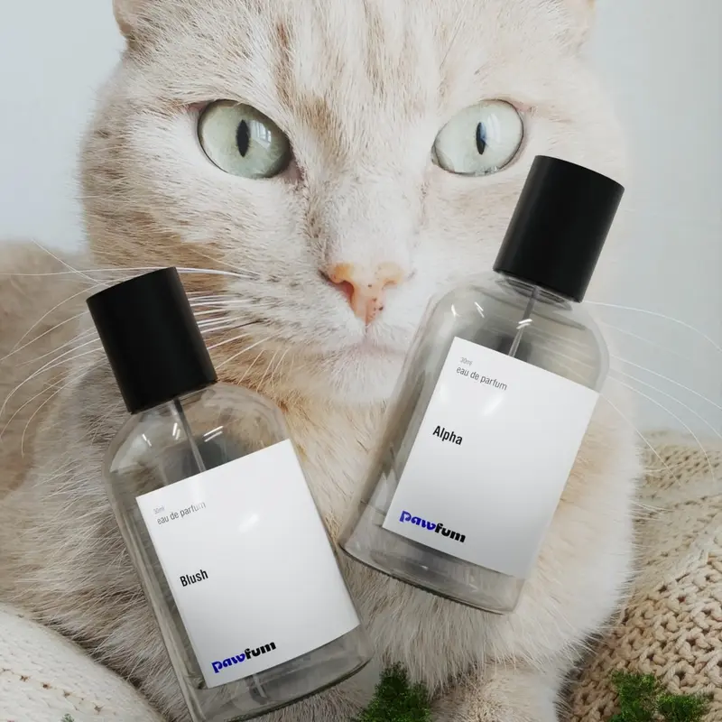 CAT Pawfum - Brave Buddy For Cat (Eau De Parfum 30ml) 2
