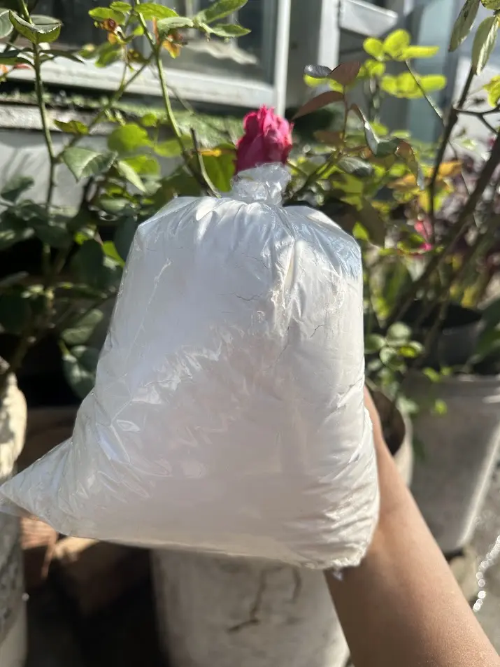 Bột làm bánh bông lan trộn sẵn của nhà Quyền Trang Miền Tây bot  mi set  nguyen