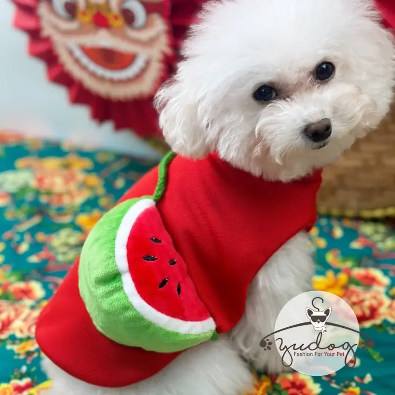 Áo bánh chưng tết cho chó mèo yudog 7