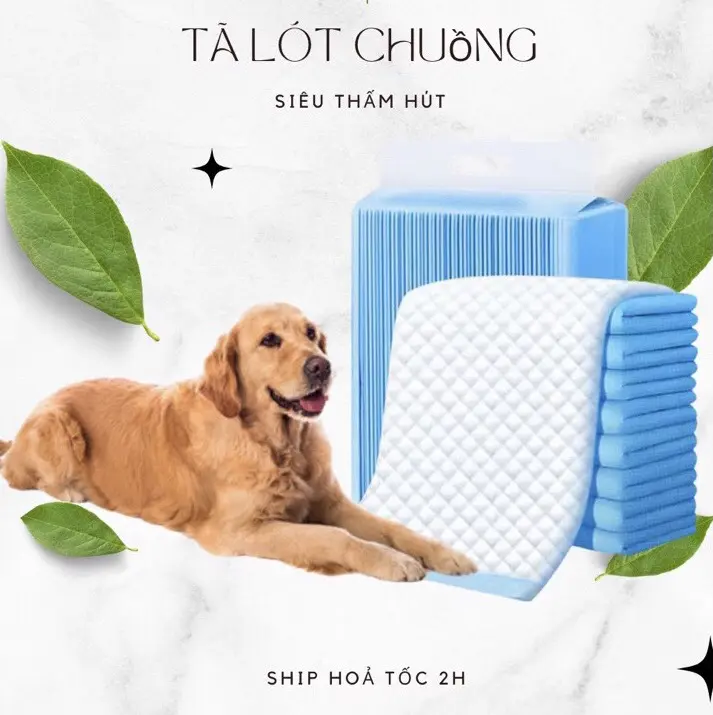Lẻ) Tã Lót Cho Chó Mèo Đi Vệ Sinh, Tấm Lót Cho Chó Mèo Bán Theo Tấm