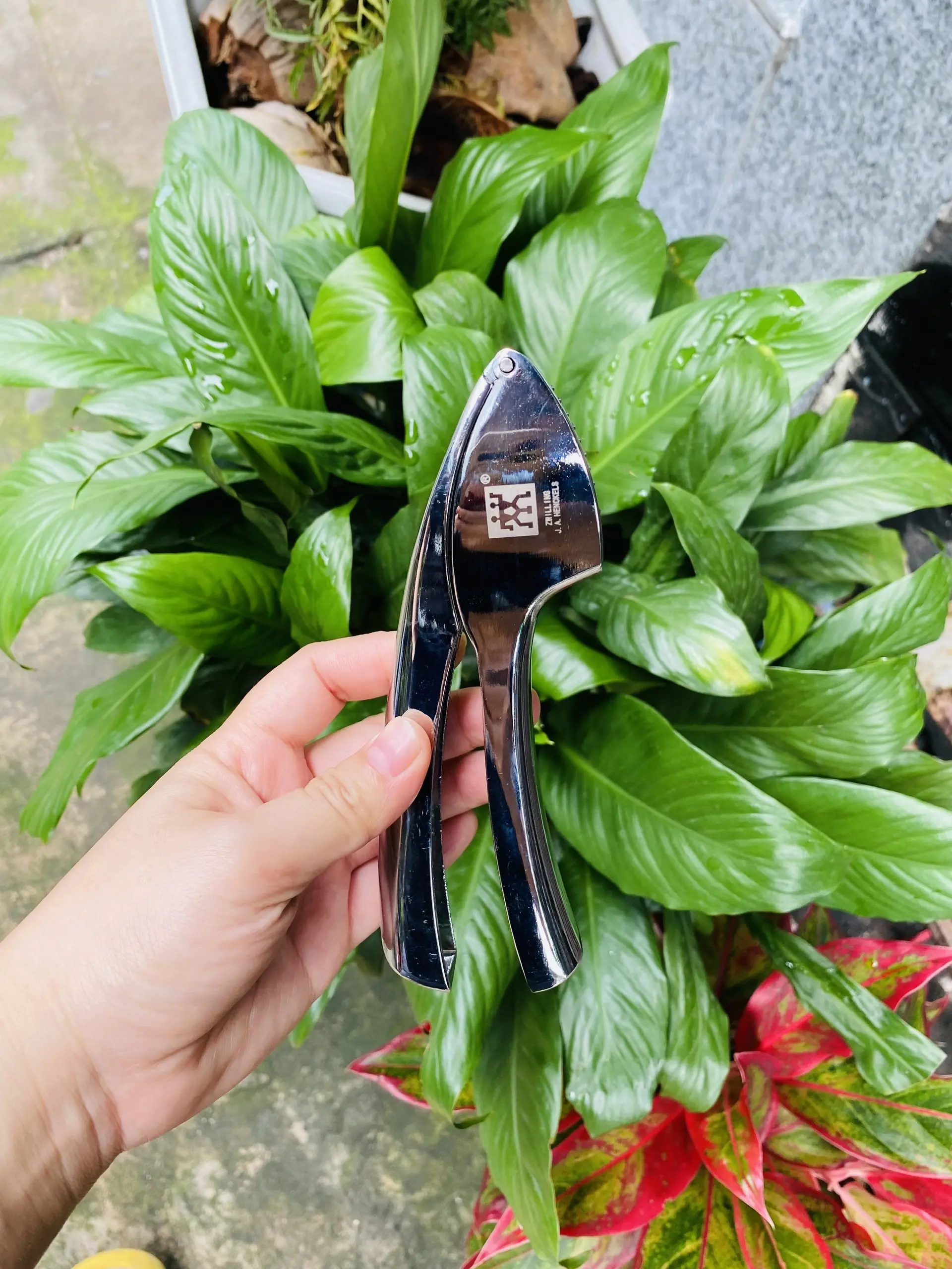 Dụng Cụ Ép Tỏi Đức Cầm Tay INOX 304 Cao Cấp, Siêu Nhanh, Siêu Tiện Lợi, Không để lại mùi