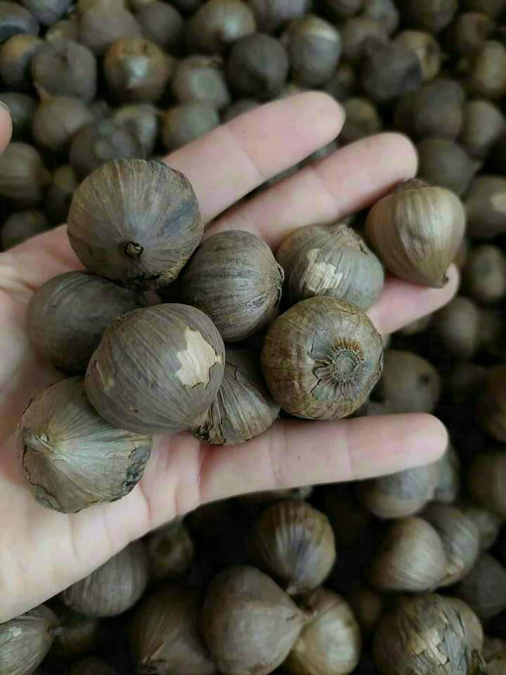 Product Introduction of Com Bo tỏi đen cô đơn (lọ 500gr) 1