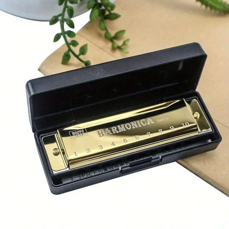 10 Hole Chromatic Harmonica, 1 Count C Key Harmonica with Case, Musical Instrument for Beginner, Gift for Friends, Valentine's Day Gift 3