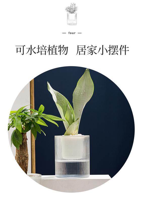 Product Introduction of High-auality Plant Self-watering Pot with Water Container Home Decoration Round Decorative FlowerPot and Planter for Garden 9