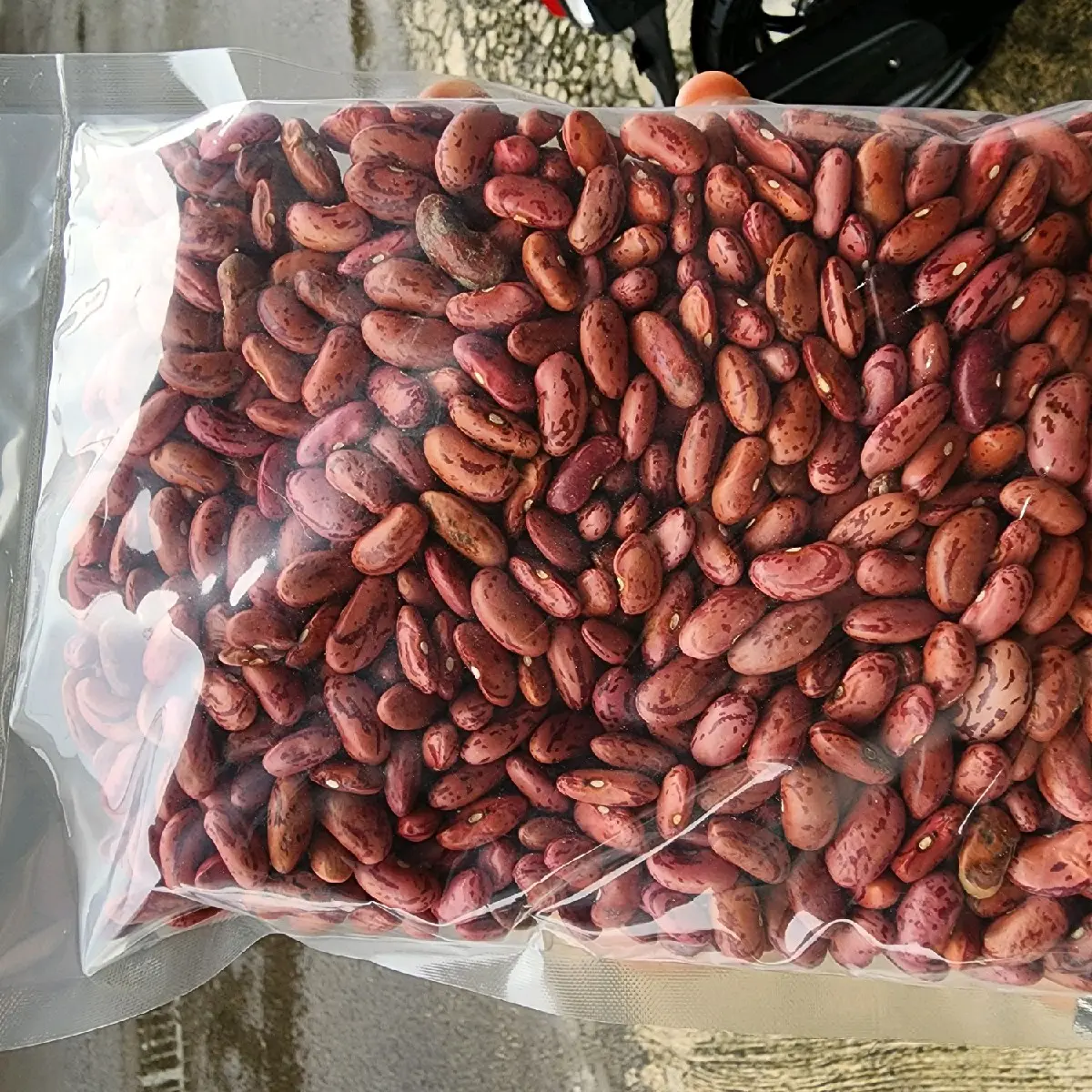 Kacang merah organik 1kg