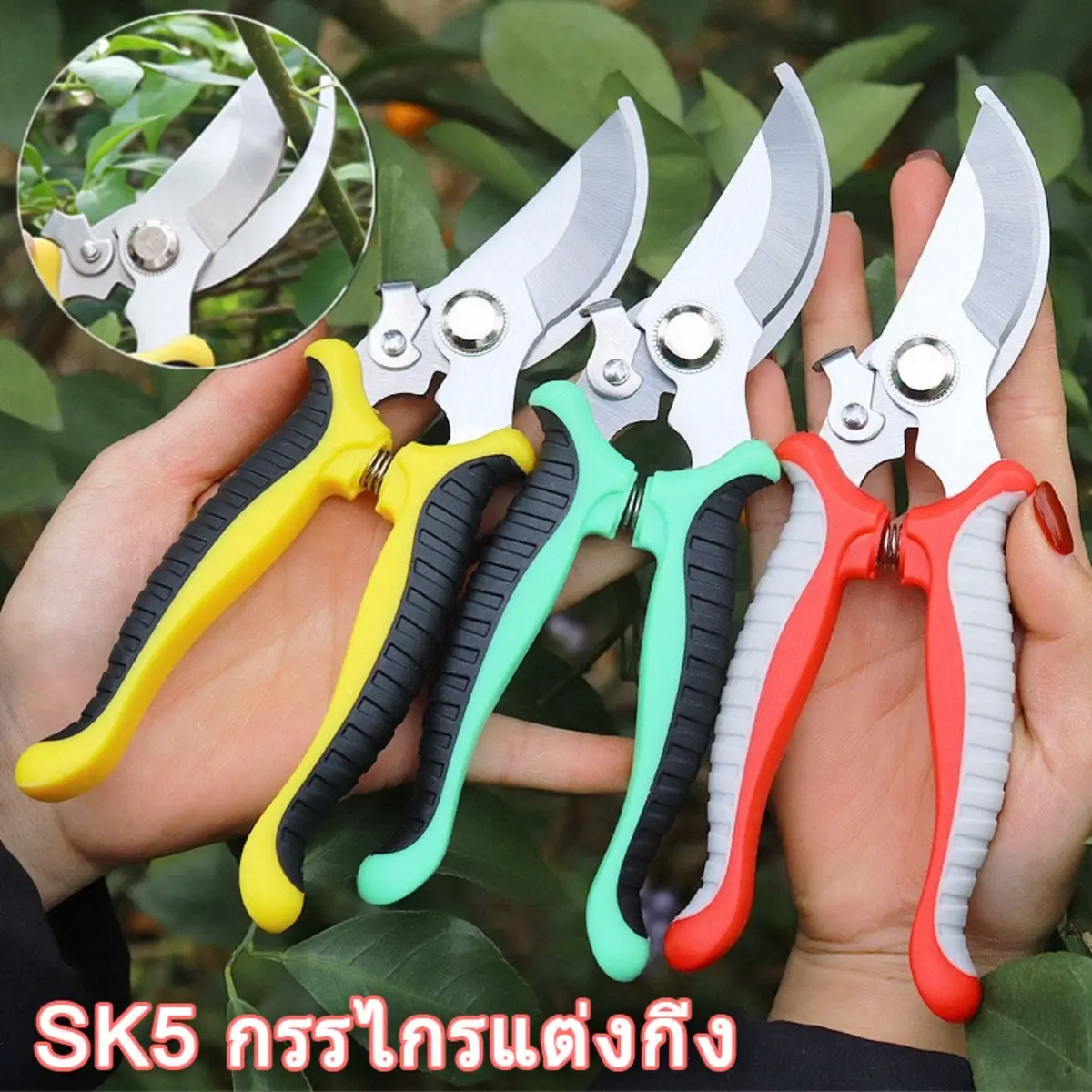 พร้อมส่งจ้า กรรไกรตัดกิ่งไม้ SK5 กรรไกรแต่งกิ่ง กรรไกรสแตนเลส กรรไกรสำหรับตัดแต่งกิ่งไม้ ดอกไม้ เครื่องมือจัดทำสวน