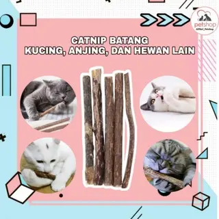 Catnip batang katnip import persatuan snack natural stick watatabi kucing 0
