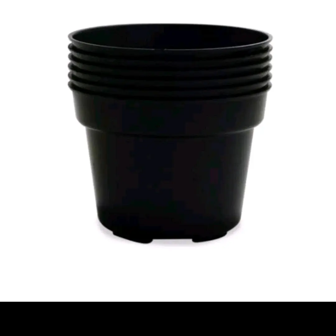 pot hitam (paket agl)