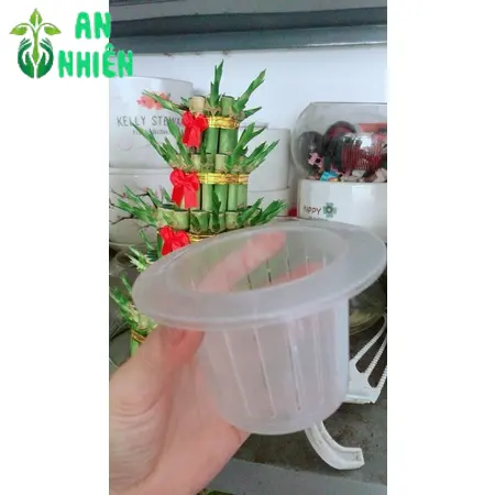Nắp Trồng Thuỷ Sinh Hàng Gửi Như Hình 2