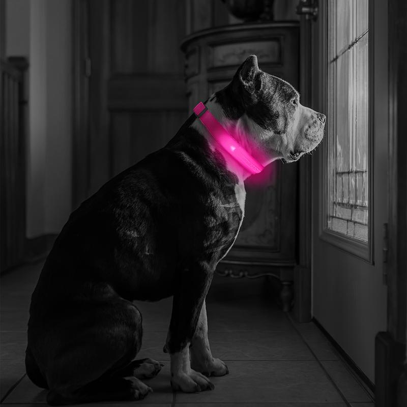 Product Introduction of LED luminous pet collar, suitable for small and medium-sized dogs - keep your pet safe and visible during nighttime walks, slightly waterproof 9