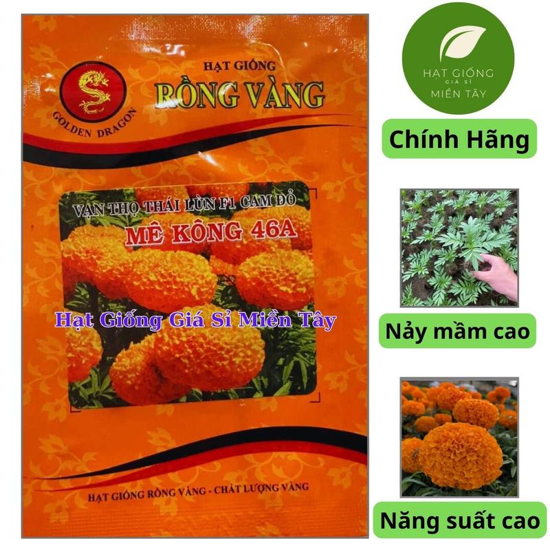  Hạt Giống Hoa Vạn Thọ Thái Lùn F1 Cam Đỏ MÊ KÔNG 46A RỒNG VÀNG  Gói 1gr  - Cây lùn Bông to 