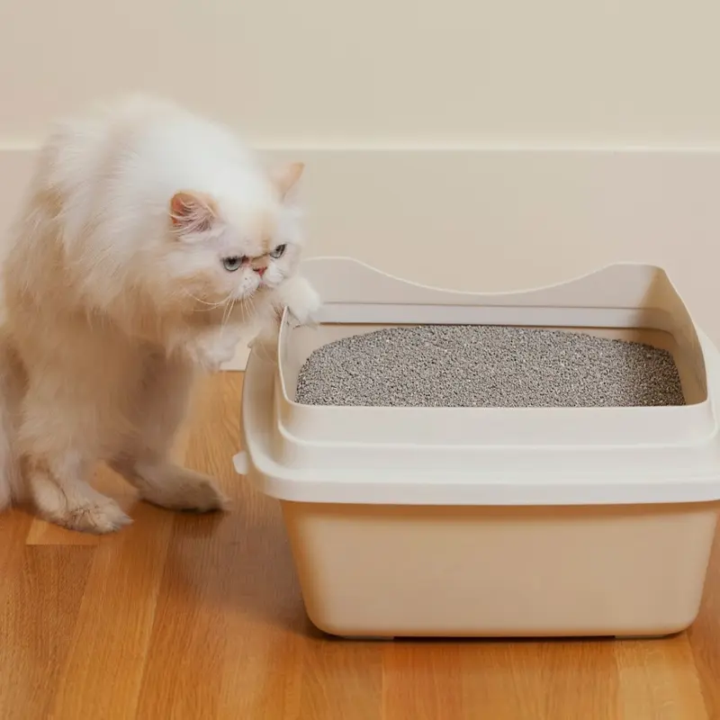PASIR KUCING WANGI 12 LITER AROMA BUBLEGUM 3