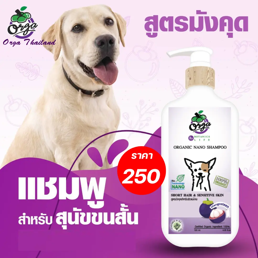 แชมพู สูตรมังคุด 250 ml. เหมาะกับสุนัขขนสั้น ผิวแพ้ง่าย ปลอดภัยฟองเข้าตาได้ เลียกินได้