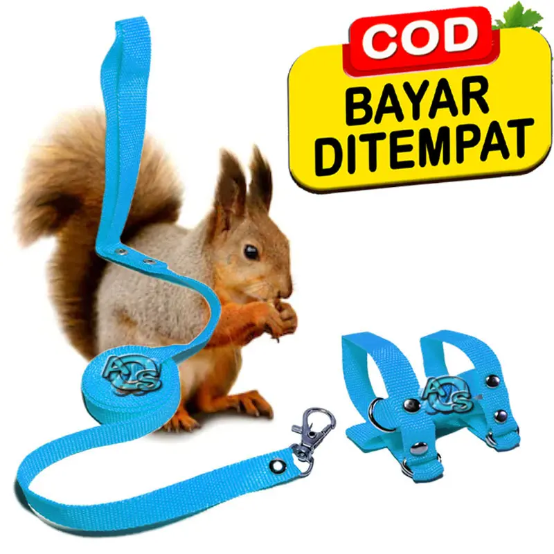 Tali Tupai Sugar Glider Kadal Hamster Harness