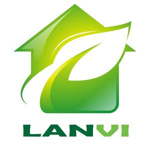 Trang Trí Lan Vi