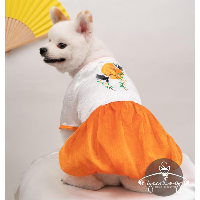 Áo đầm tết chó mèo yudog đầm bí gấm đông hưng mặc tết cho chó mèo thú cưng 6