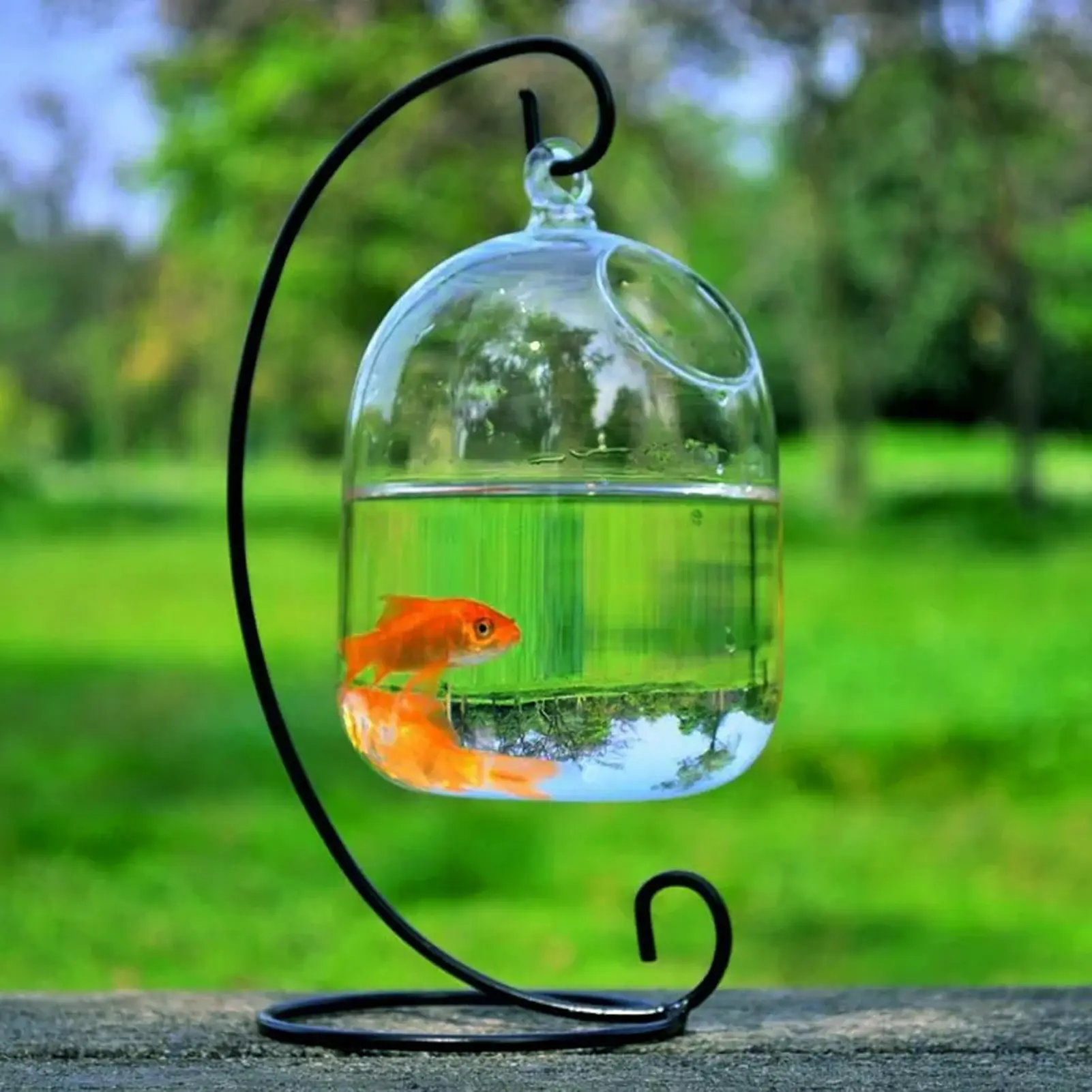 Bình Thủy Tinh Treo Trong Suốt, Bể Cá, Trang Trí Sáng Tạo, Cho Phòng Khách, Hàng Có Sẵn