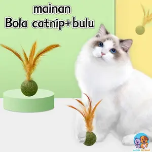 Mainan kucing Bola Catnip Kucing Anti Stress Balls Makanan Hewan Berputar Bola Mainan kucing
