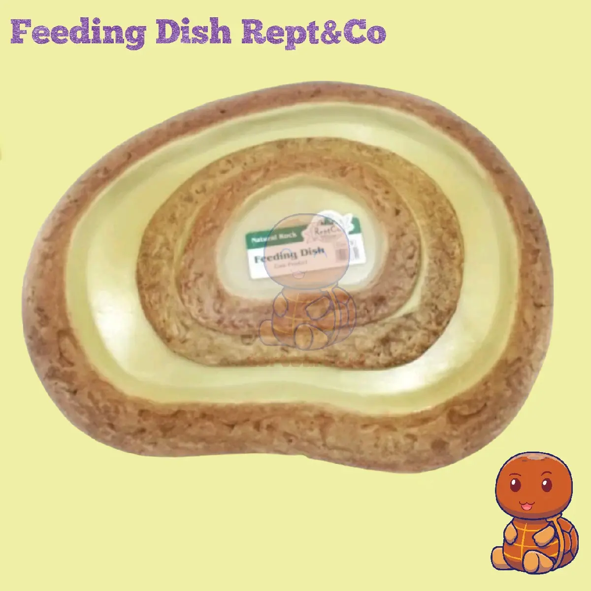 Feeding Dish ReptCo - Tempat makan Sulcata Pardalis Istar Tortoise