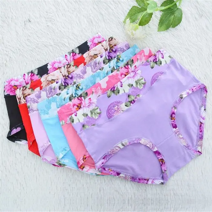 Đồ Lót In Họa Tiết, Cạp Thường Dành Cho Nữ, Quần Lót độn Hông, Thân Thiện Với Làn Da Và Thoáng Khí, 5 Gói, Mất Tiền Voi Women