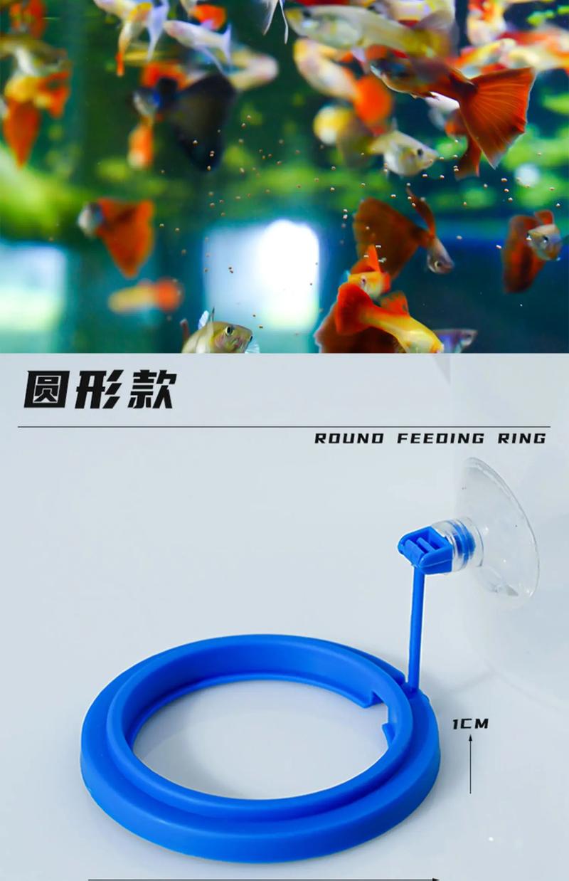 Product Introduction of Aquarium fish tank feed ring floating food tray feeder square circle accessories fish food feeder black suction cup 14