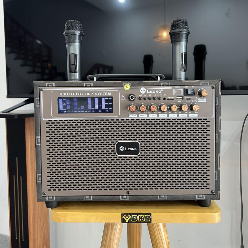 Loa Karaoke Xách Tay Nghe Nhạc Hát Karaoke Kem 2 Mic Loa Leong