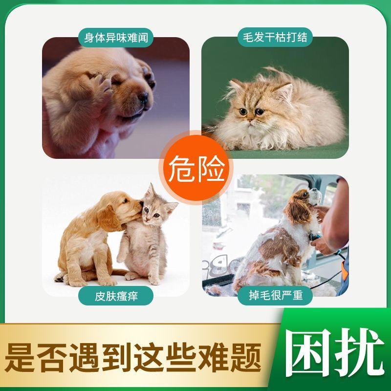 Dầu gội cho thú cưng, dành cho mèo và chó, Khử mùi, Chống ngứa, Kháng khuẩn, Loại bỏ Mạt, Lông thú cưng mịn màng, Kháng khuẩn lâu dài, Tiêu diệt Mạt 1
