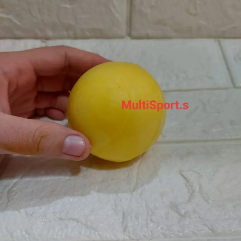 BOLA KASTI PENJAS