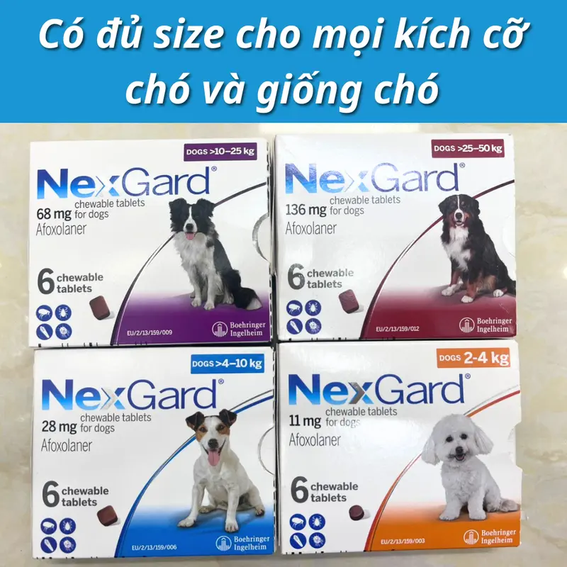 NexGard - Viên nhai phòng & trị Ve, Rận, Bọ chét, Ghẻ cho chó từ 2-50kg - 1 Viên 3