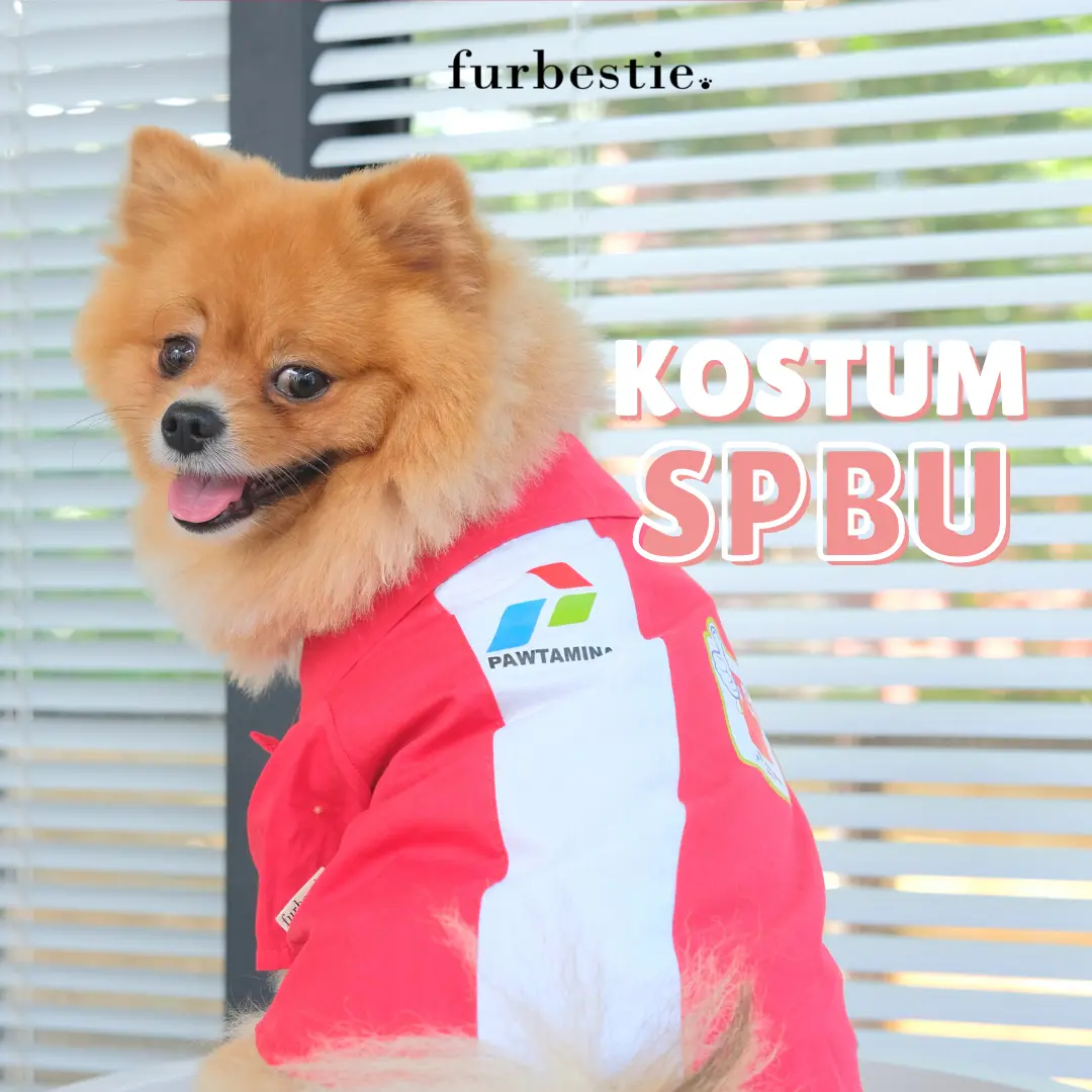 Furbestie by Pomapoo - Baju Kucing & Baju Anjing Kostum SPBU