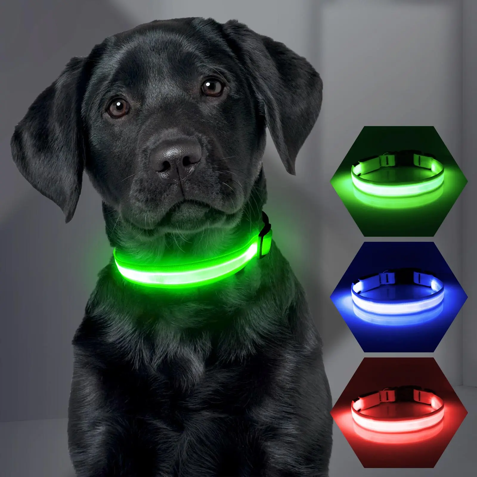 Rechargeable LED Dog Collar, 1 Count Adjustable USB Rechargeable Luminous Dog Collar with Comfortable Rope, Pet Safety Glowing Collar for Night Walking