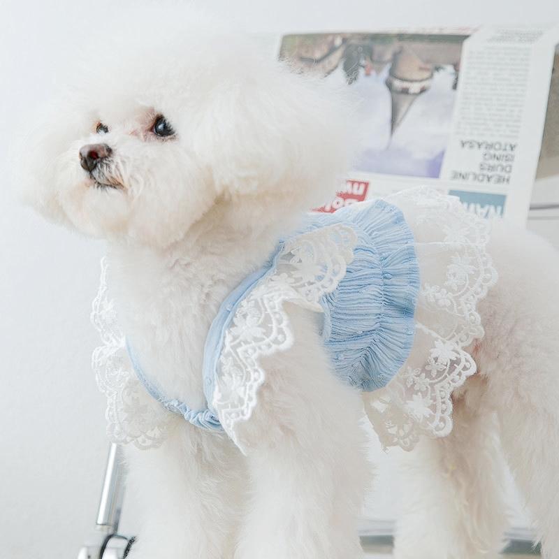 Product Introduction of Quần áo cho chó, trang phục mùa hè, thích hợp cho chó Con và mèo con, với ren, quần áo cho thú cưng, thích hợp cho Chihuahua và Bichon 20