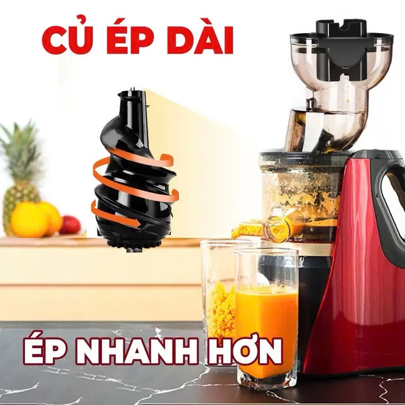 Máy Ép Chậm HONG.XIN RH-312 Máy Ép Nguyên Quả Trái Cây Rau Củ Quả Ép Kiệt Bã Tiện Lợi 1
