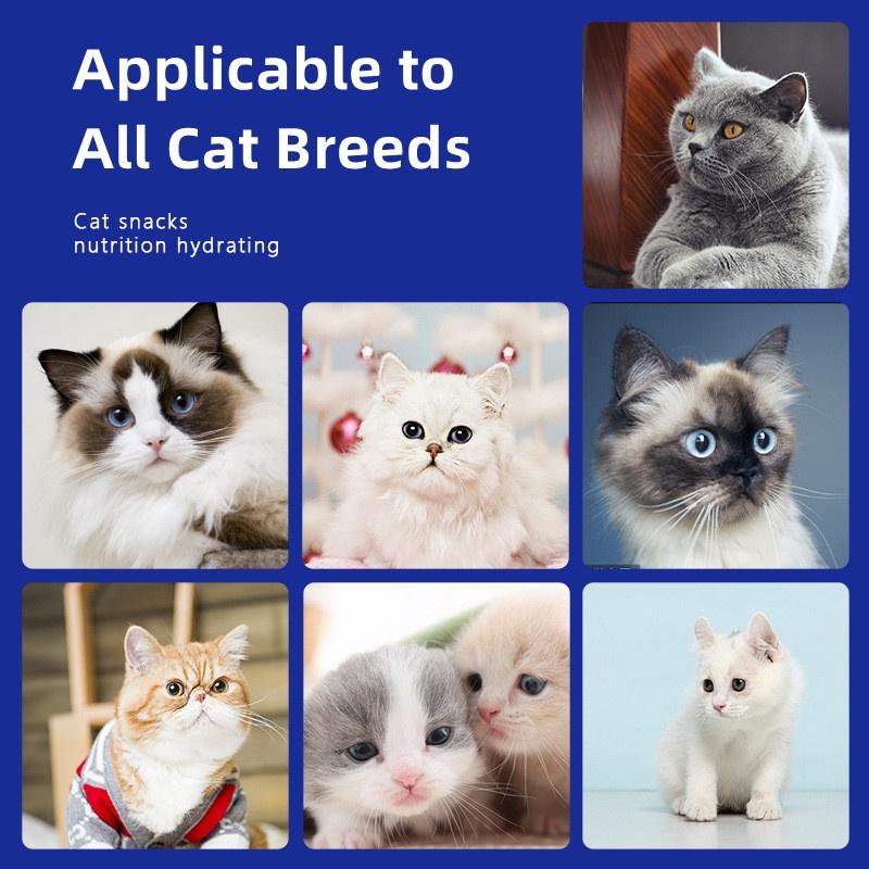 Product Introduction of Cat Treats 15g Pet Cat Food Snacks Cat Wet Food for Kitten and Adult Aat Par Buy 10 Ship 20 Cat Wet Food Snacks 9