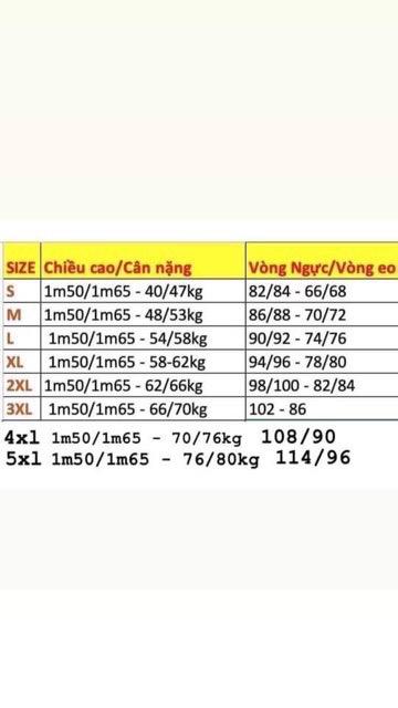 Product Introduction of Áo dài cách Tân voon tơ mền 4 tà cổ cao tay bèo cánh tiên 0