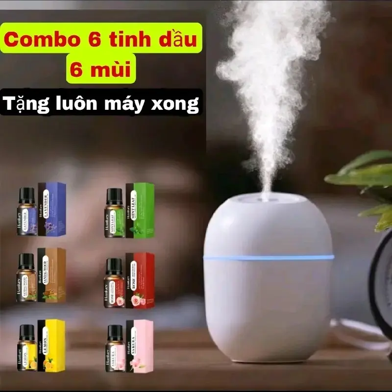 [Số lượng có hạn] Combo 6 tinh dầu xông phòng 6 mùi tặng kèm 1 máy xông máy phun sương ,15-20m combo trải nghiệm giá chỉ 89k 0