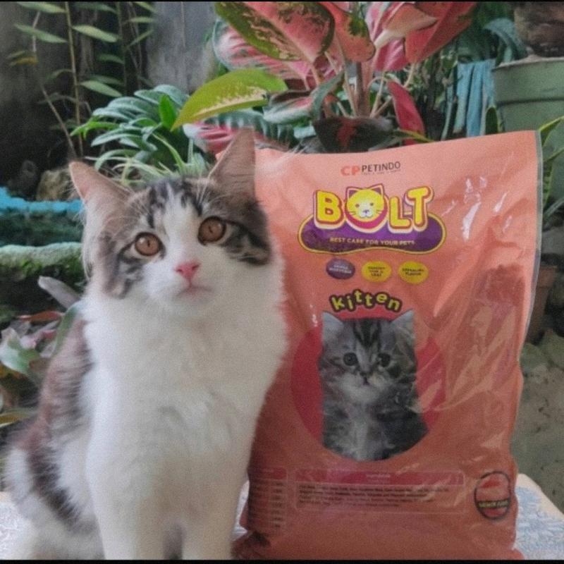 Makanan Kucing Bolt 800gr dan 1kg All Varian Repack Adult dan Kitten whiskas 3