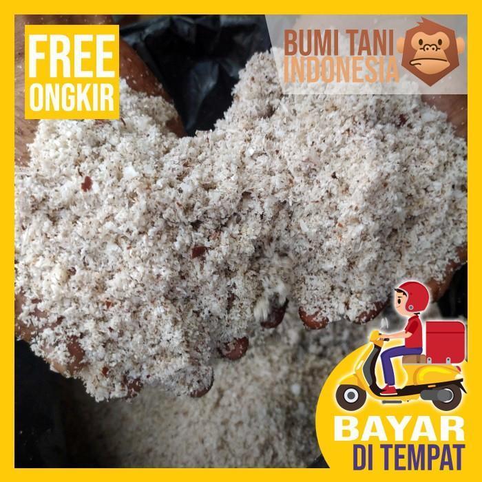 ampas kelapa media penetasan baby maggot bsf 4