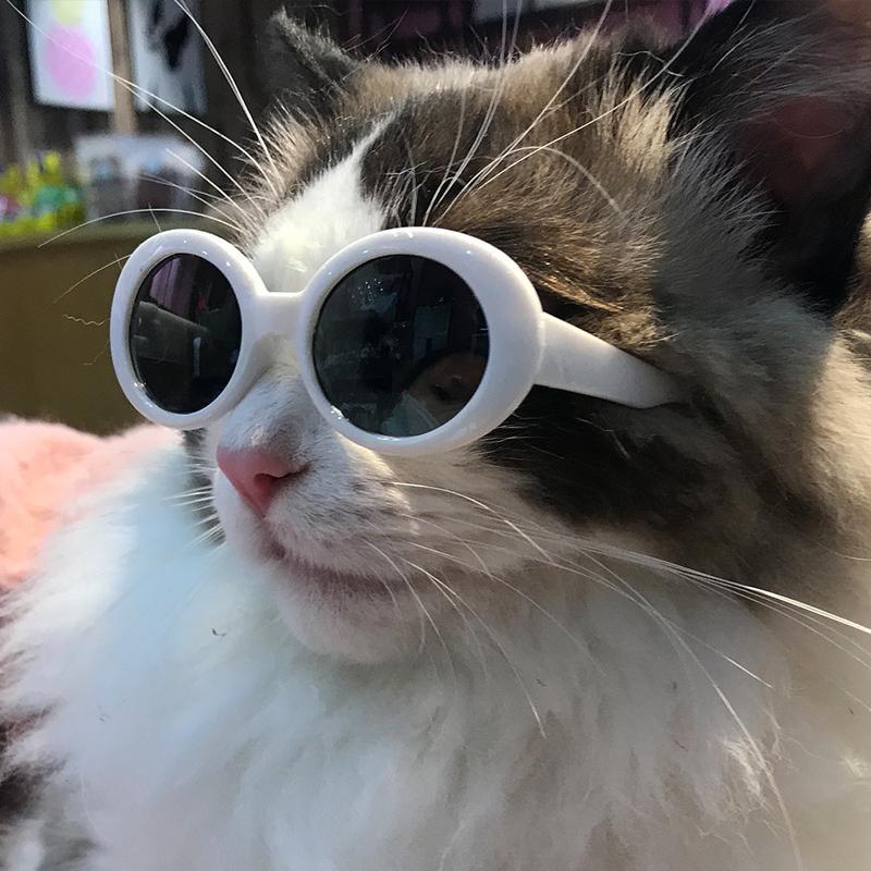 Product Introduction of Lovely Vintage Round Cat Sunglasses Eye wear glasses For Small Dog Cat Pet Photos Pet Products Props Accessories 9