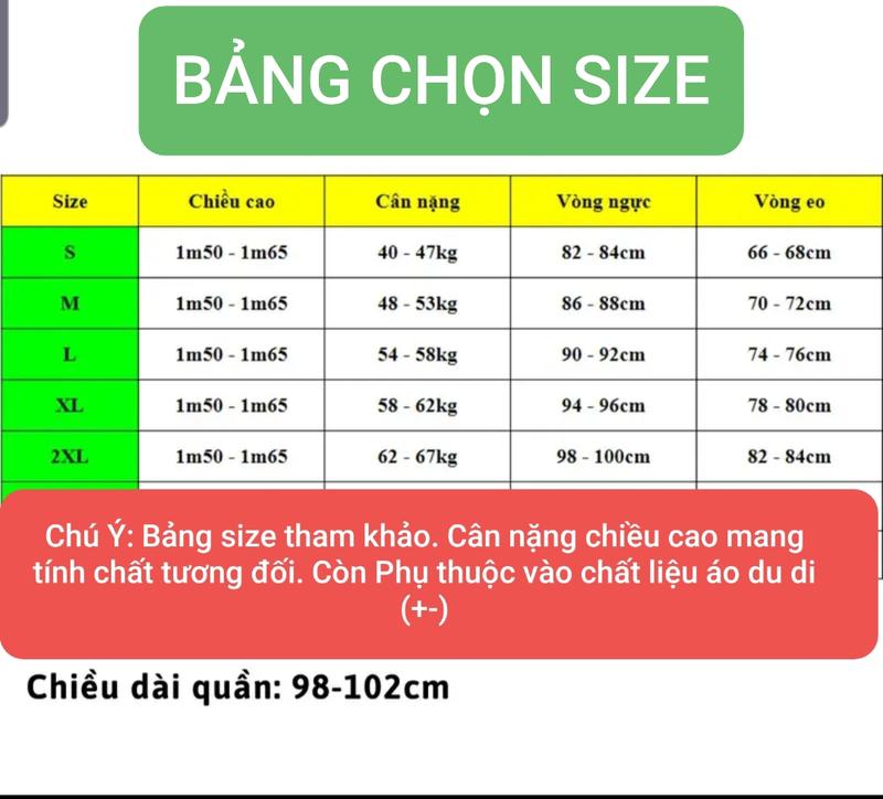 Product Introduction of Aó Dài; Áo dài cách tân Thanh Nga tay bồng tiểu thư đính kết Women Dress 0