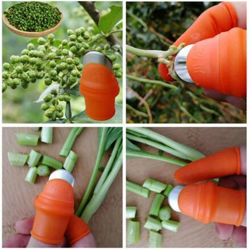 Product Introduction of Farm Vegetable Fruit Picker Pickle Pepper Pickle Tip Picker Iron Nail Pick Grape Picker for Garden Orchard and Vegetable Patch 33