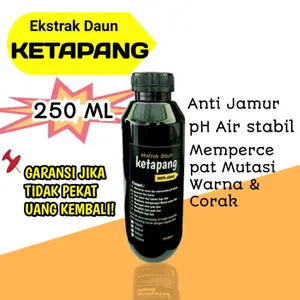 Ekstrak Daun Ketapang 250ml Pekat Untuk ikan