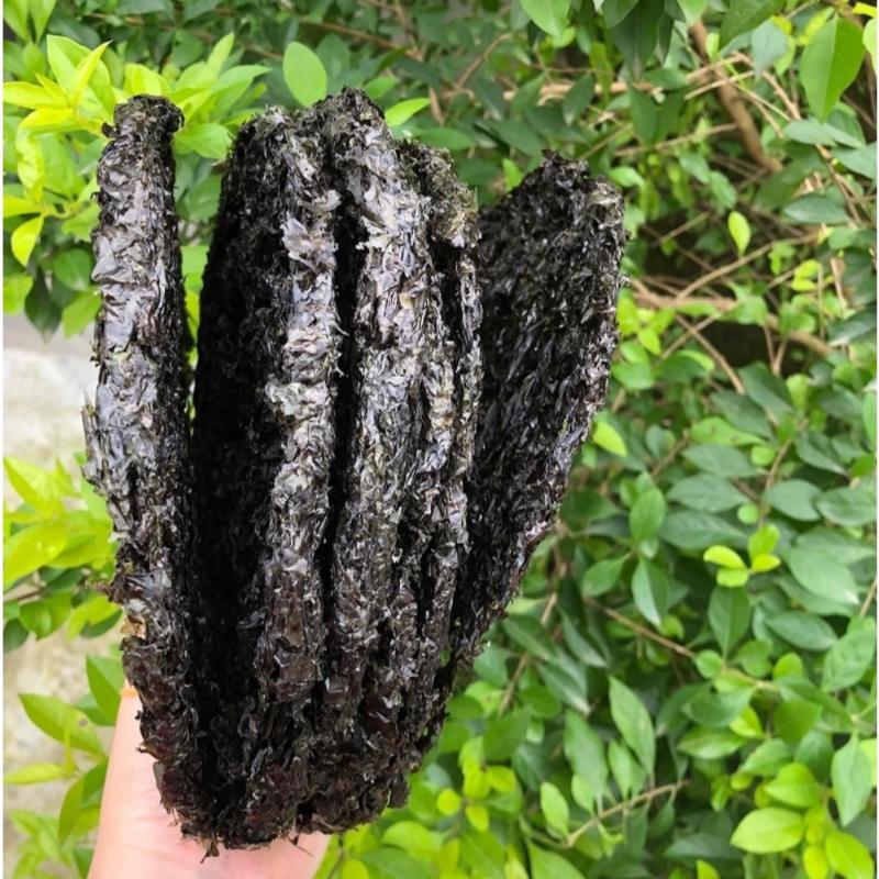 Rong biển khô Nha Trang (mứt biển)