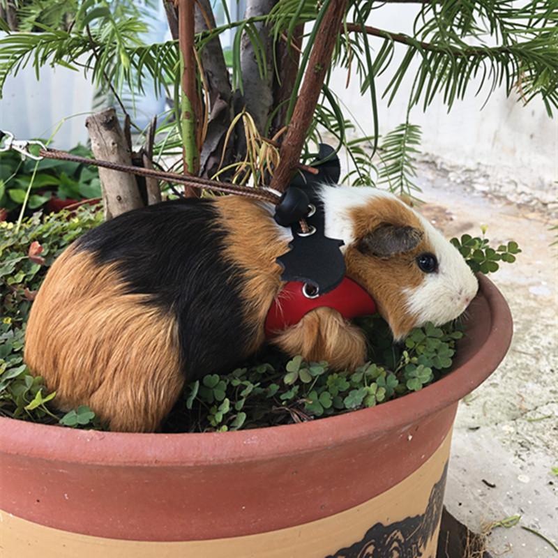 Product Introduction of 2025 Reptile Pet Lizard Leash with Wings Squirrel Harness Chinchilla Leash Green Gecko Lizard Guinea Pig Outdoor Leash 3