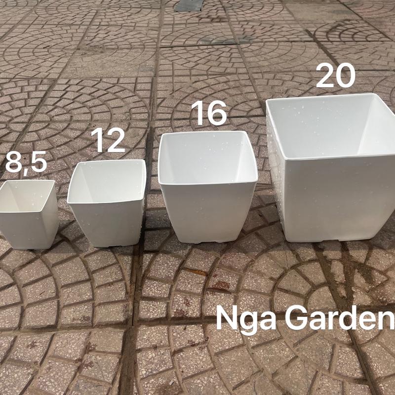  5-10 Chậu nhựa vuông chậu trồng cây v9 v12 v16 v20 