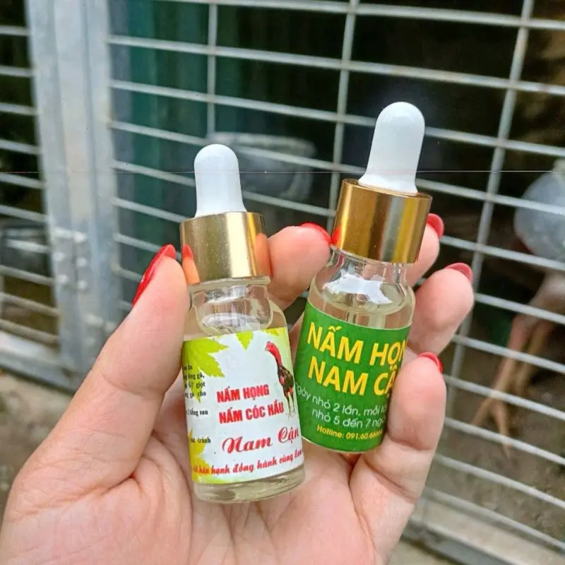 ĐẶC TRỊ NẤM HỌNG THẾ HỆ MỚI NAM CẬN 1