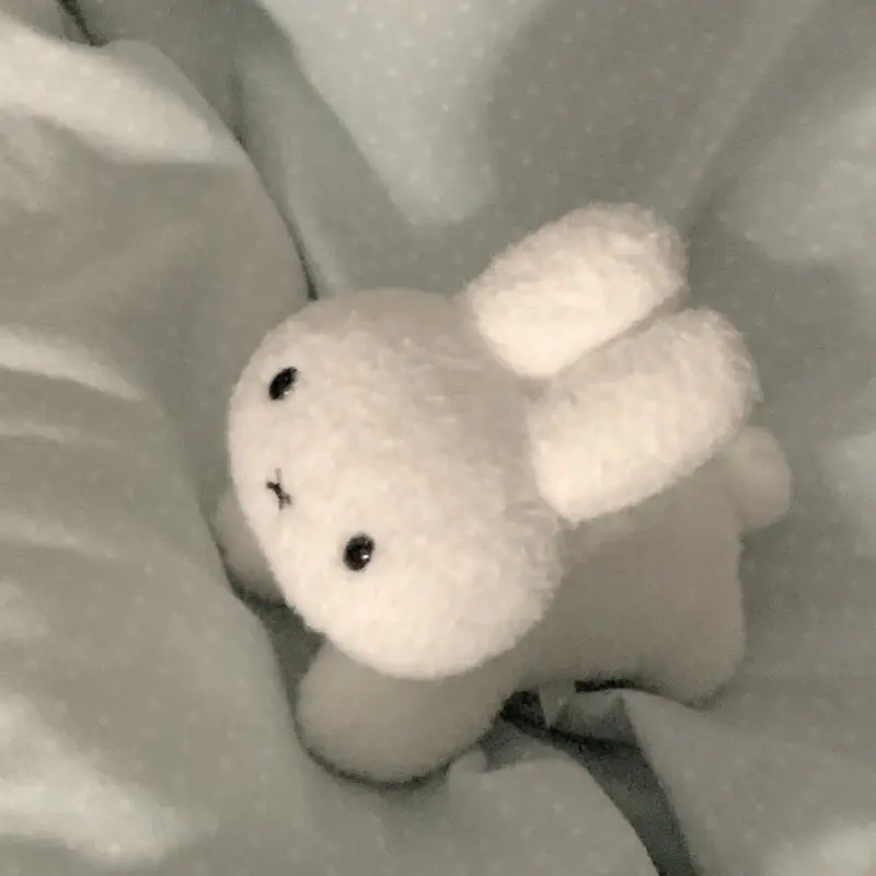 Búp Bê Nhồi Bông Cầm Tay Dễ Thương, Miffy, Siêu Đáng Yêu, Thỏ Trắng Mini, Đồ Chơi Nhồi Bông Mặt Dây Chuyền Quà Tặng 2