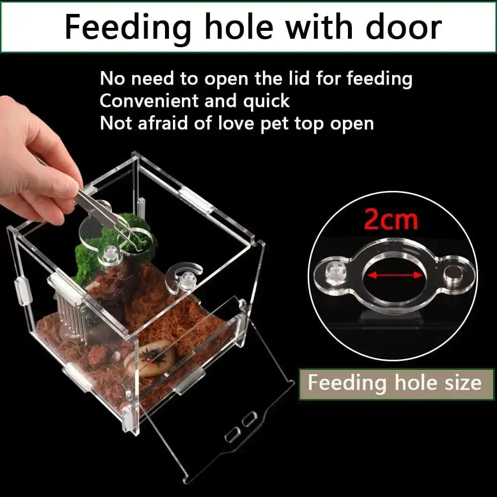 Small Reptile Acrylic Jumping Spider Enclosure Feeding Box Small Reptile Habitat Terrarium for Tarantula Insect Snail